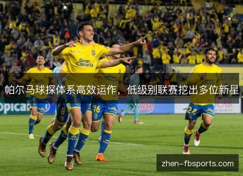 帕尔马球探体系高效运作，低级别联赛挖出多位新星